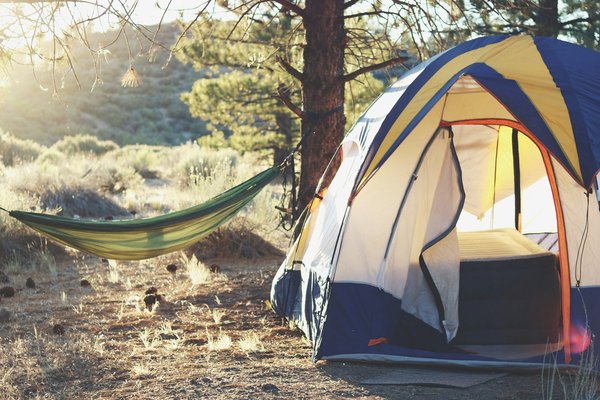Quels sont les meilleurs conseils pour un camping en région de forêt pluviale en été?
